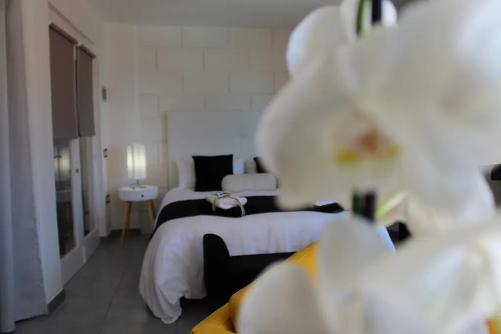 Pasion Tropical - Gay Only Resort (Adults Only) Hotel Playa Del Aguila (Las Palmas)