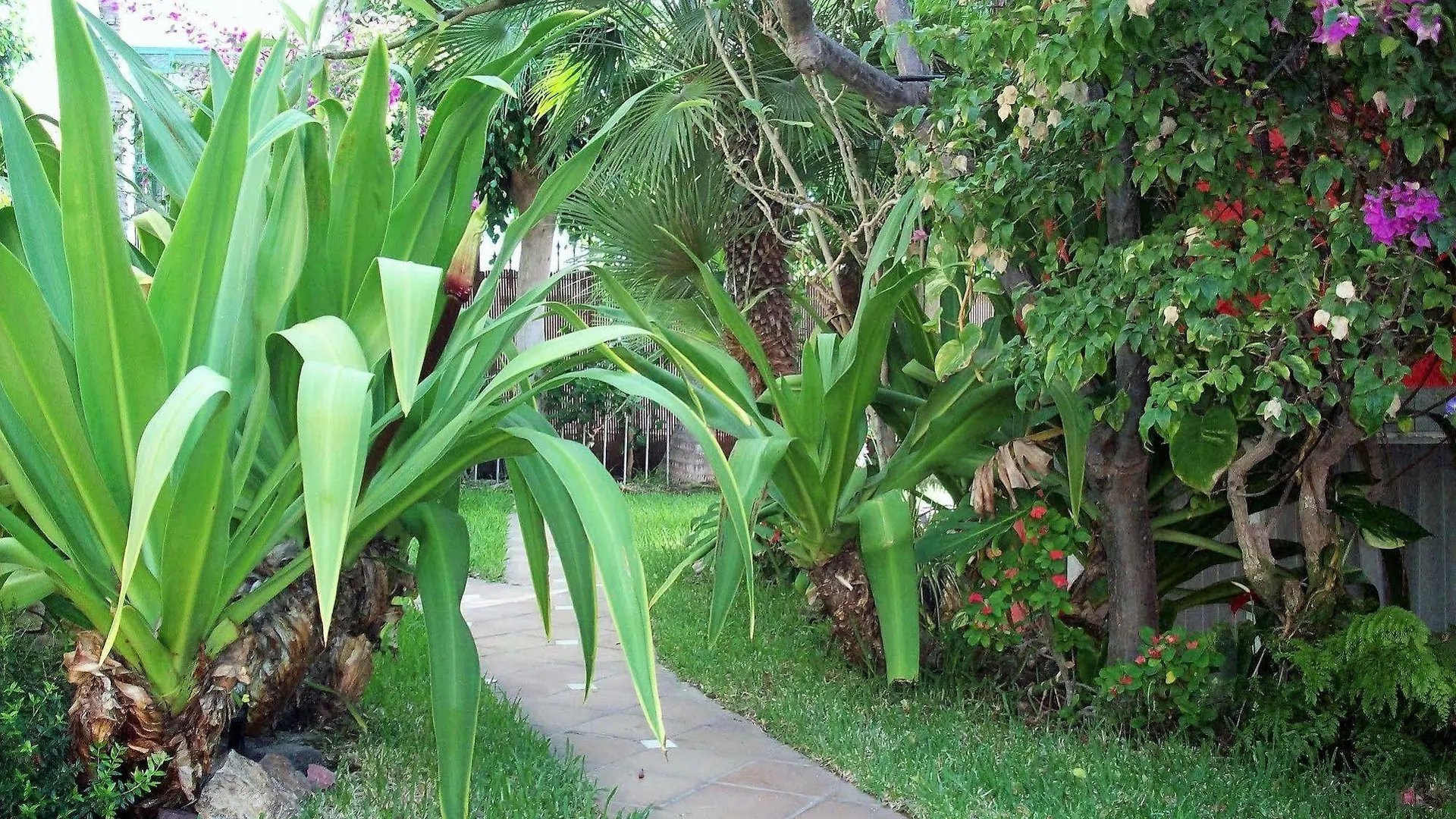 Pasion Tropical - Gay Only Resort (Adults Only) Hotel