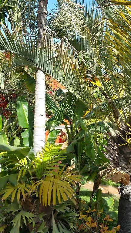 Pasion Tropical - Gay Only Resort (Adults Only) Spain
