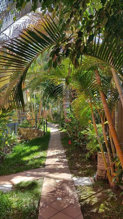 Pasion Tropical - Gay Only Resort (Adults Only) Playa Del Aguila  3*, Playa Del Aguila (Las Palmas)