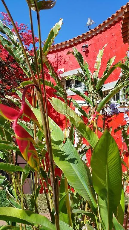 Pasion Tropical - Gay Only Resort (Adults Only) Playa Del Aguila  Otel