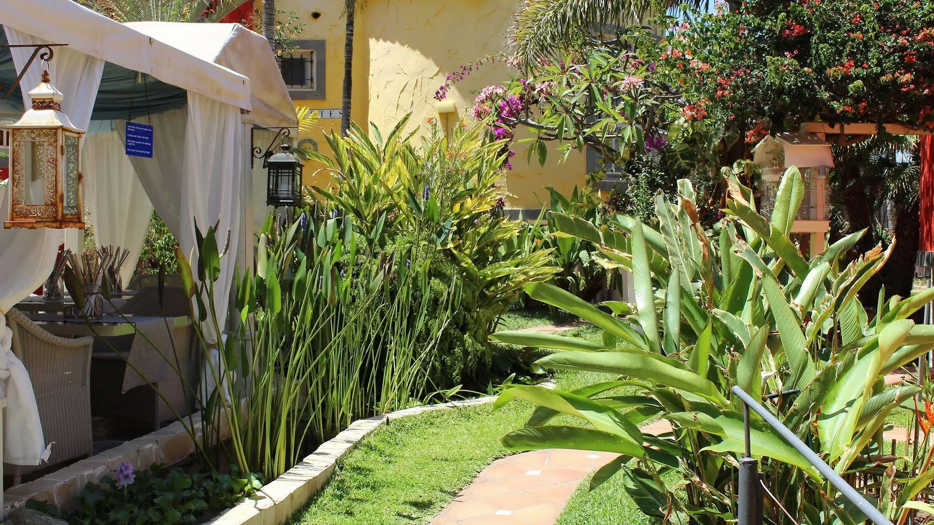 Pasion Tropical - Gay Only Resort (Adults Only) Playa Del Aguila  Playa Del Aguila (Las Palmas)